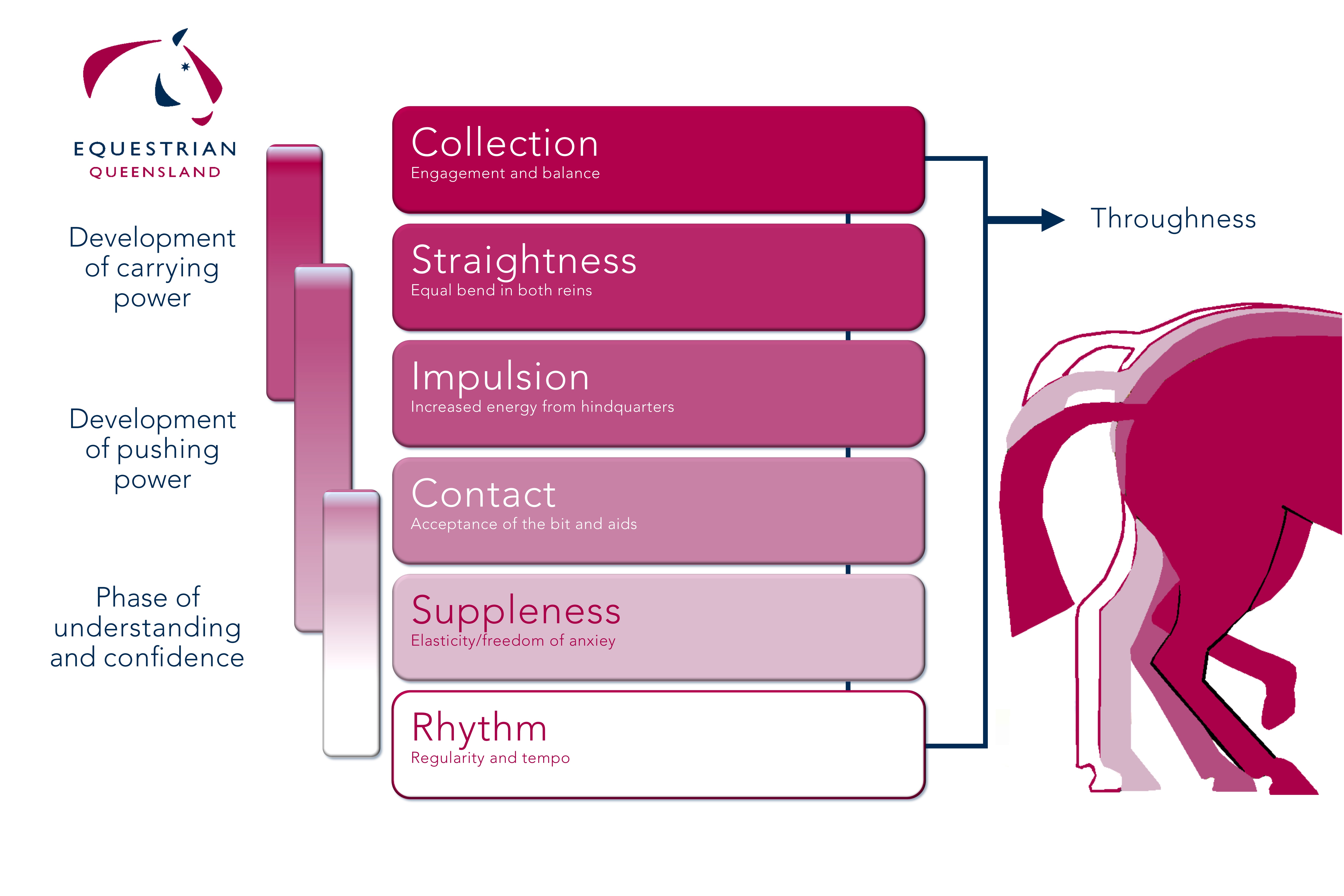  Equestrian Queensland